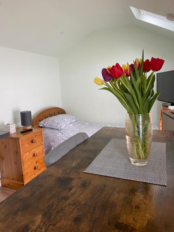 Cosy 1 Bed Garden Annexe Apartment Colchester Exterior photo
